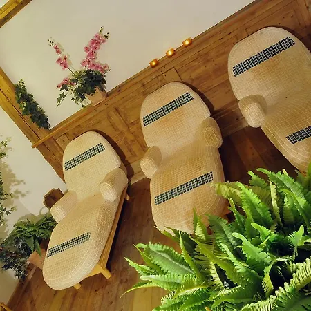 Отель Hotel Belvedere Wellness 3*